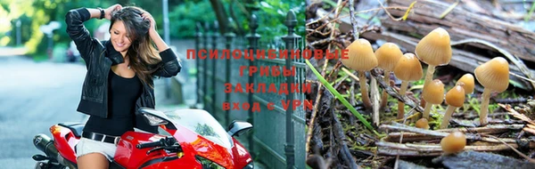соль курить ск Алексеевка